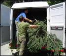 Disposing of plant material 